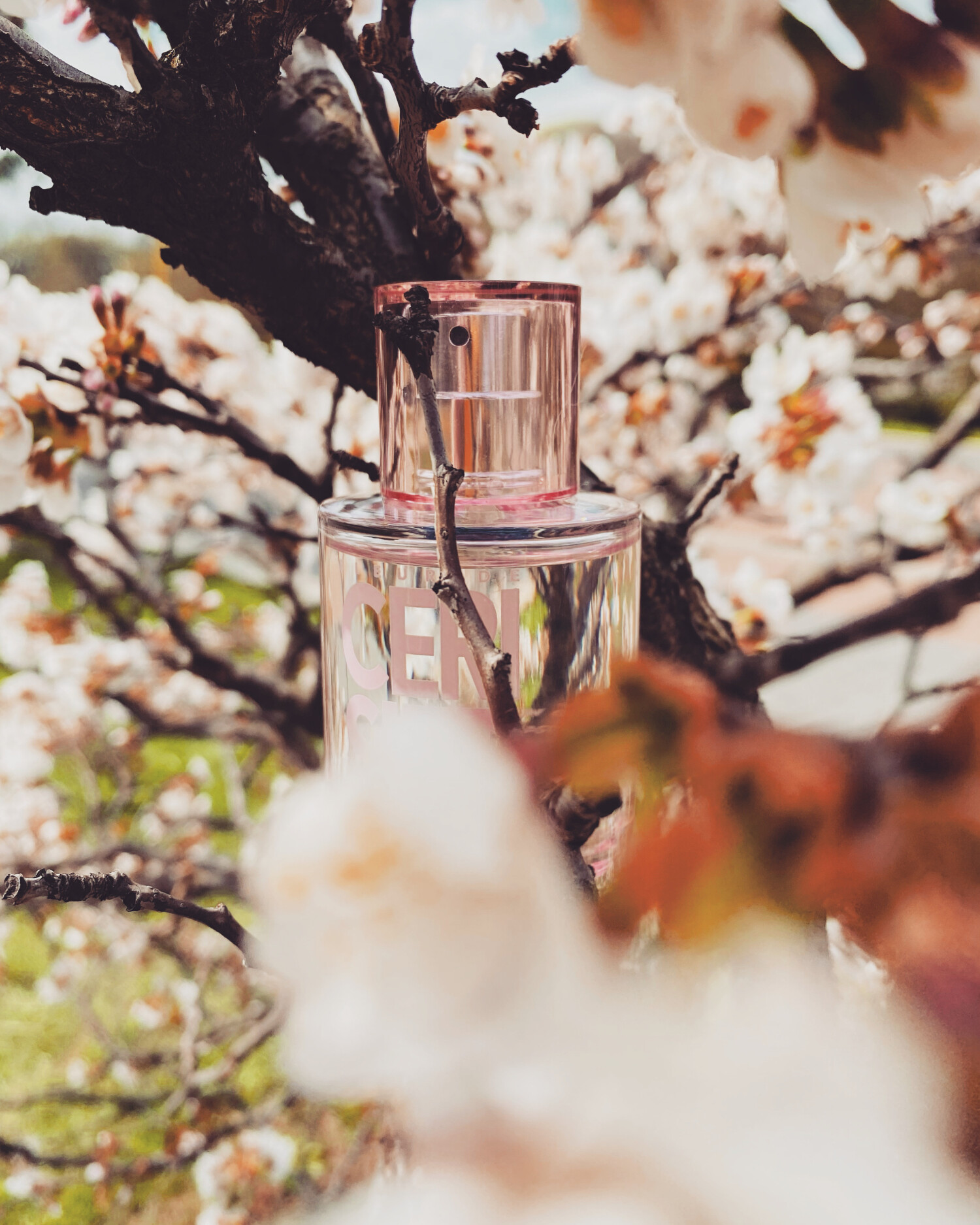 Fleur de Cerisier Solinotes perfume - a fragrance for women and men 2013