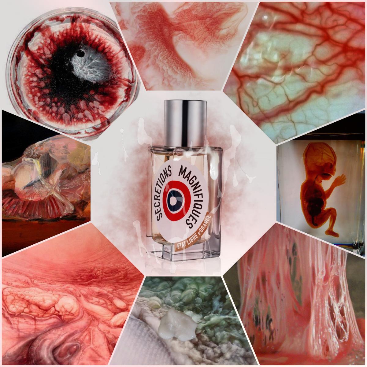 Secretions Magnifiques Etat Libre d