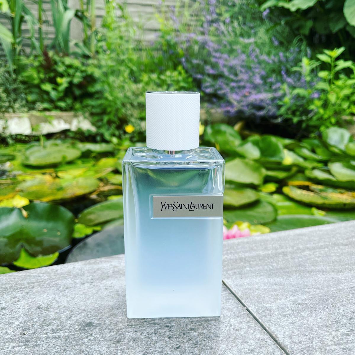 Y Eau Fraiche Yves Saint Laurent 古龙水 一款 2020年 新的 男用 香水