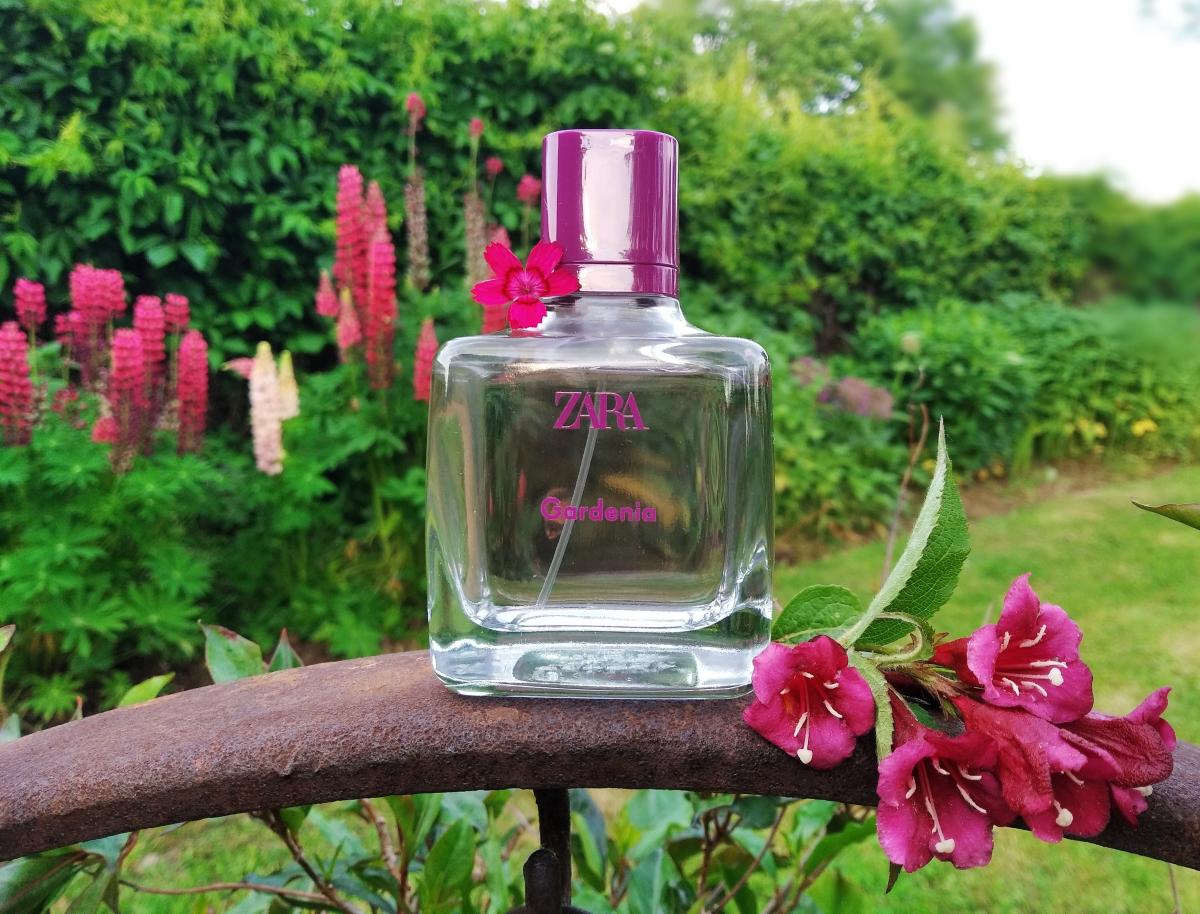 Zara Gardenia 2016 Zara perfumy - to perfumy dla kobiet 2016