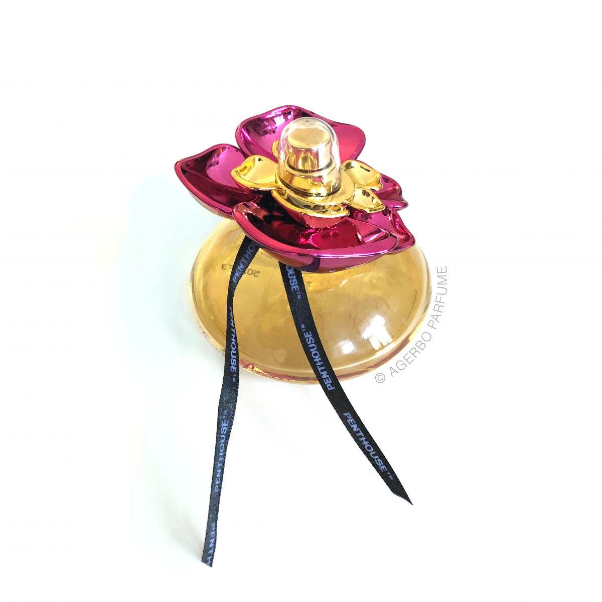 Blooming Passion Penthouse perfume - a fragrance for women 2011