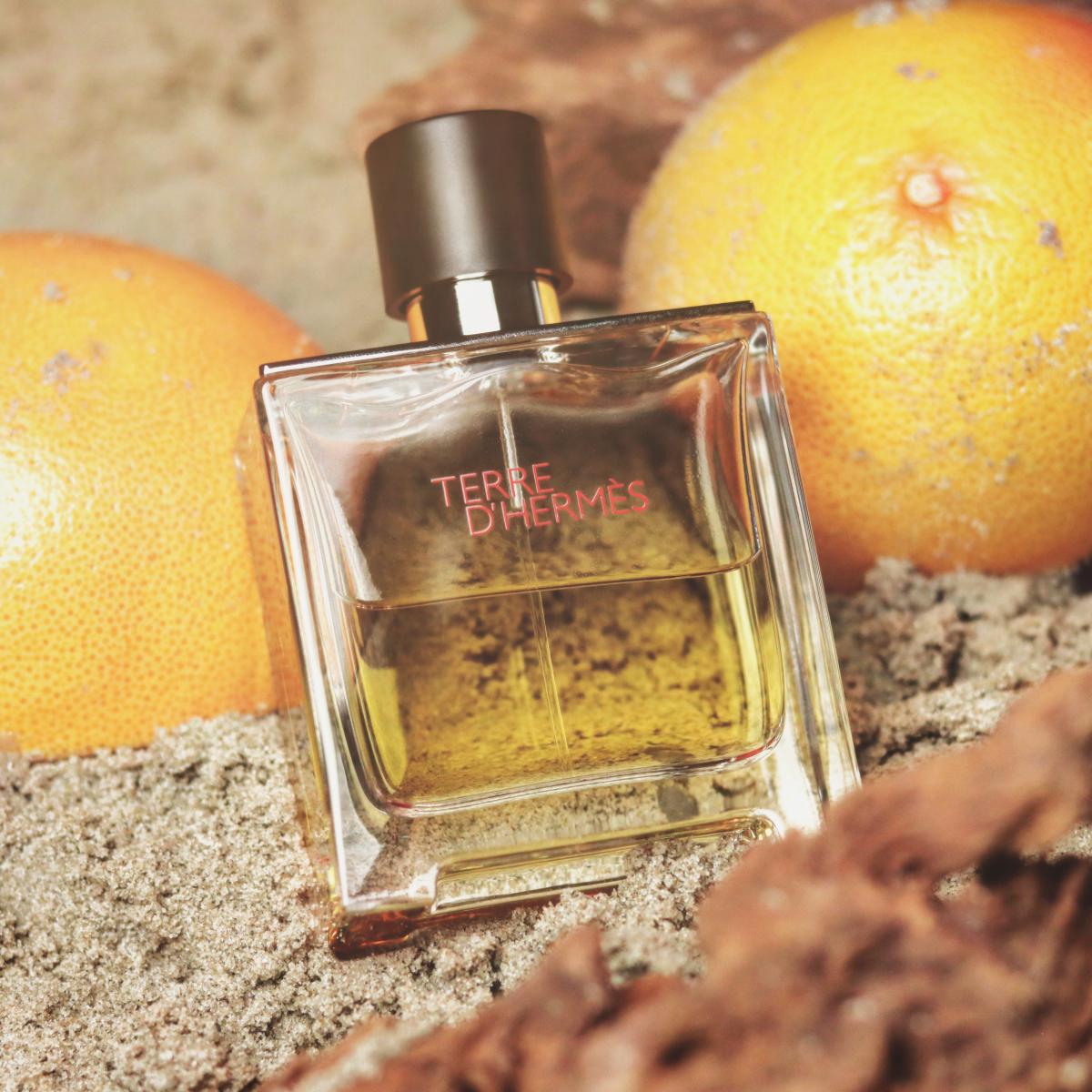 Terre d'Hermes Parfum Hermès cologne - a fragrance for men 2009