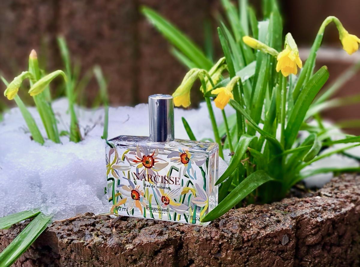 Narcisse Fragonard perfume - a new fragrance for women 2023