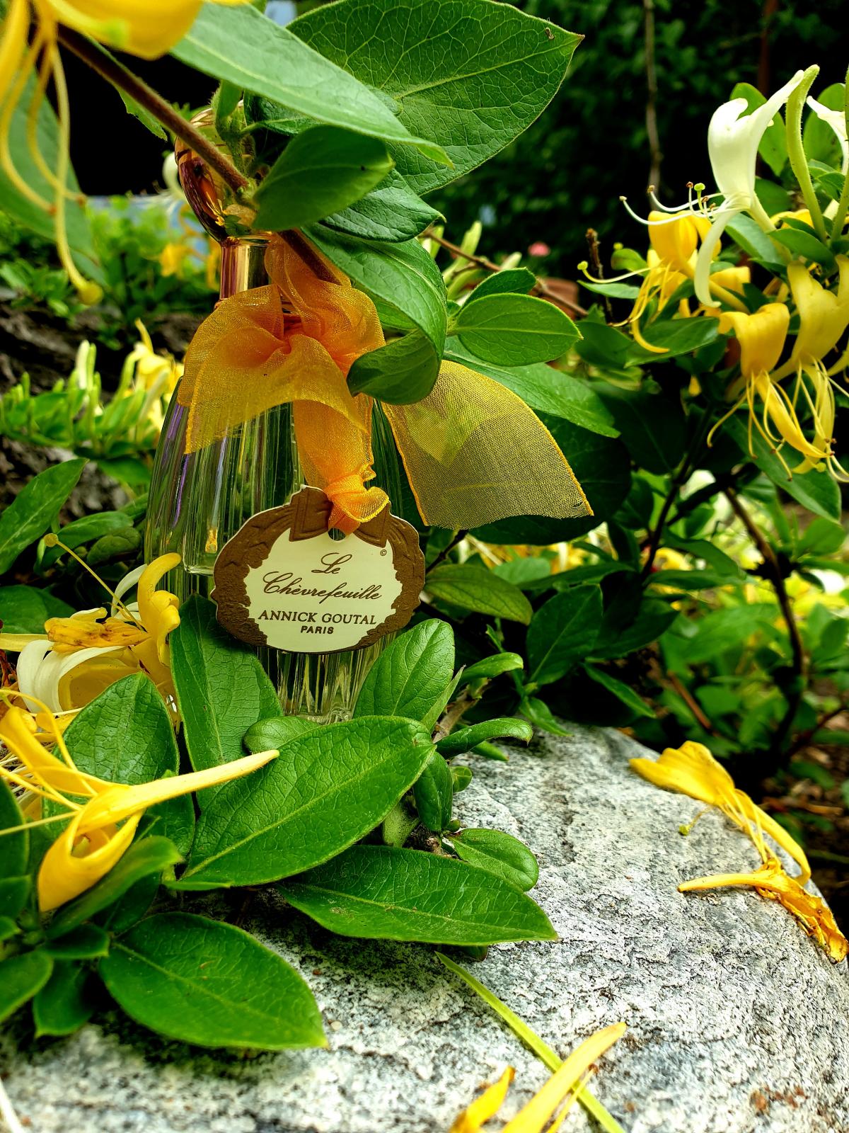 Le Chevrefeuille Annick Goutal perfume a fragrance for women 2002