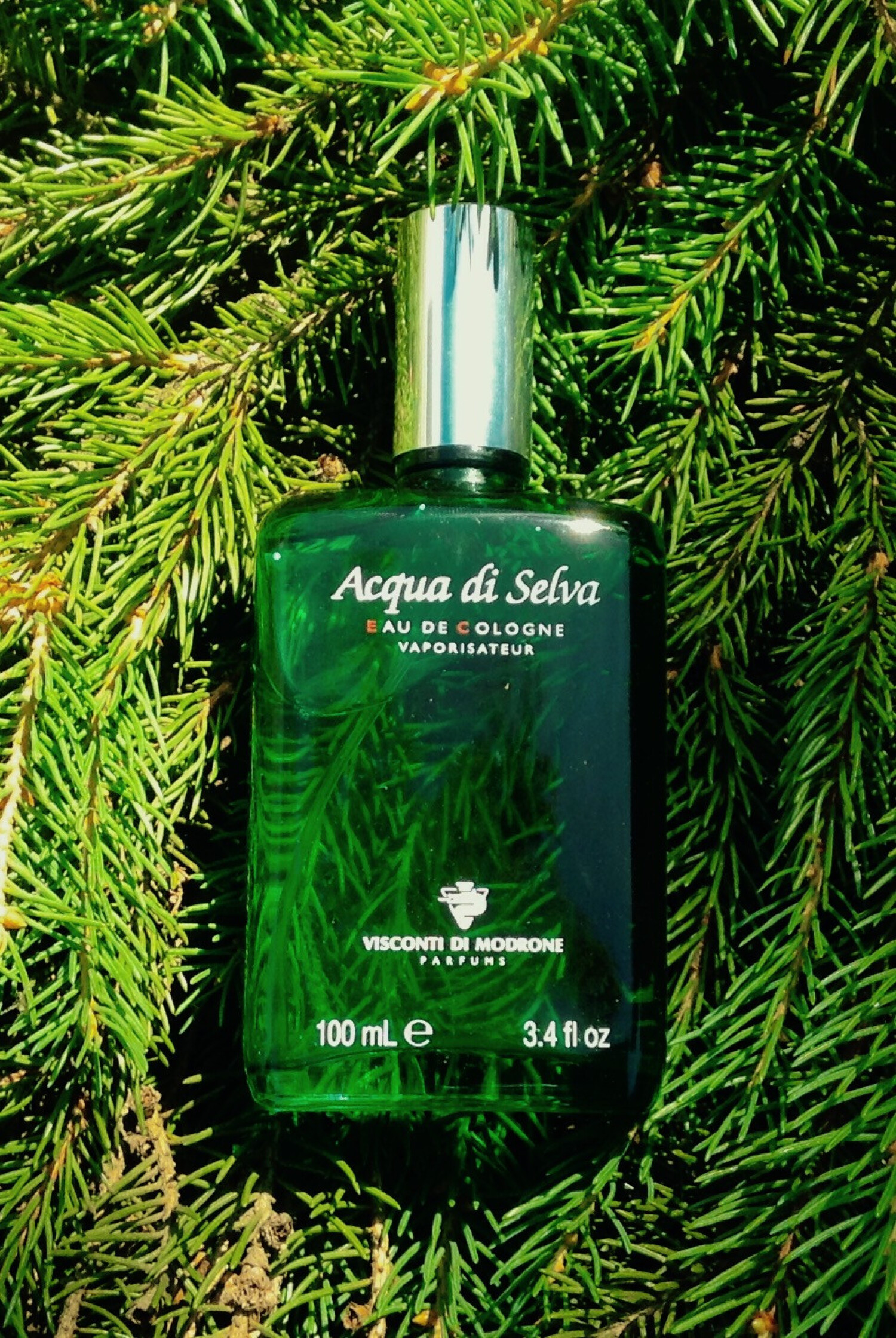 Acqua di Selva Visconti di Modrone コロン - 1949年の男性用 フレグランス