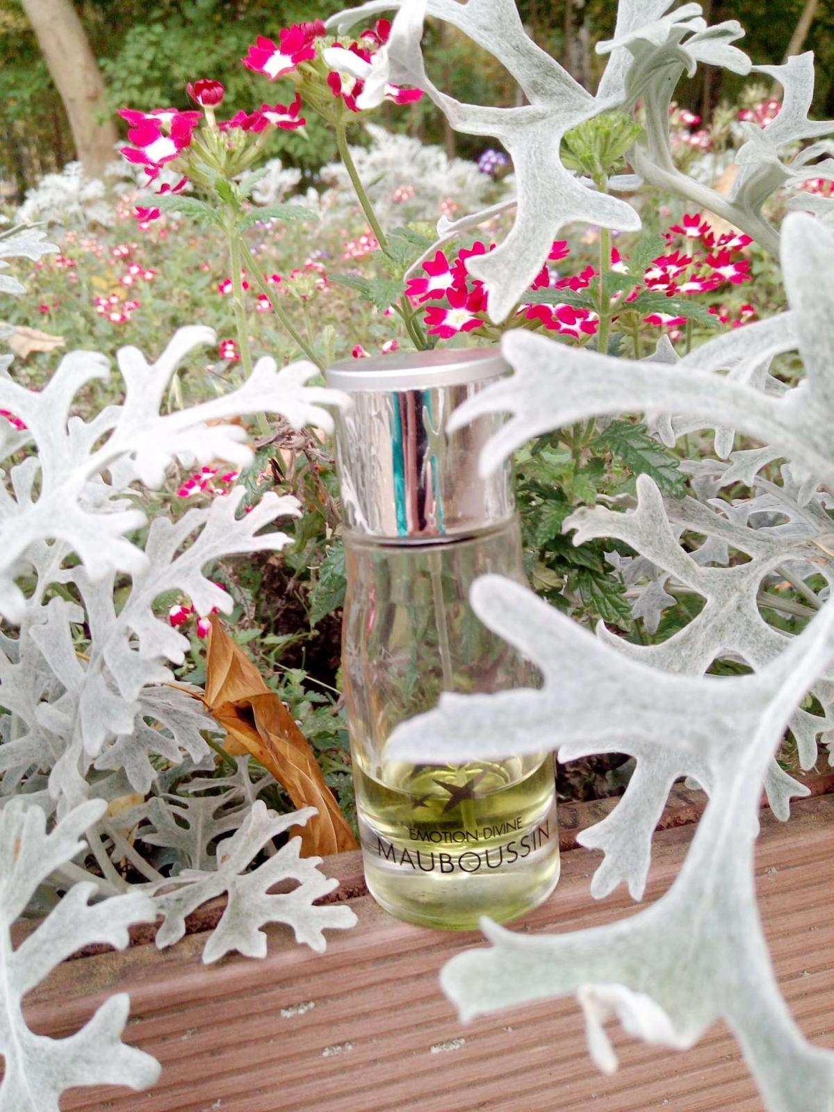 Emotion Divine Mauboussin perfume a fragrance for women 2007