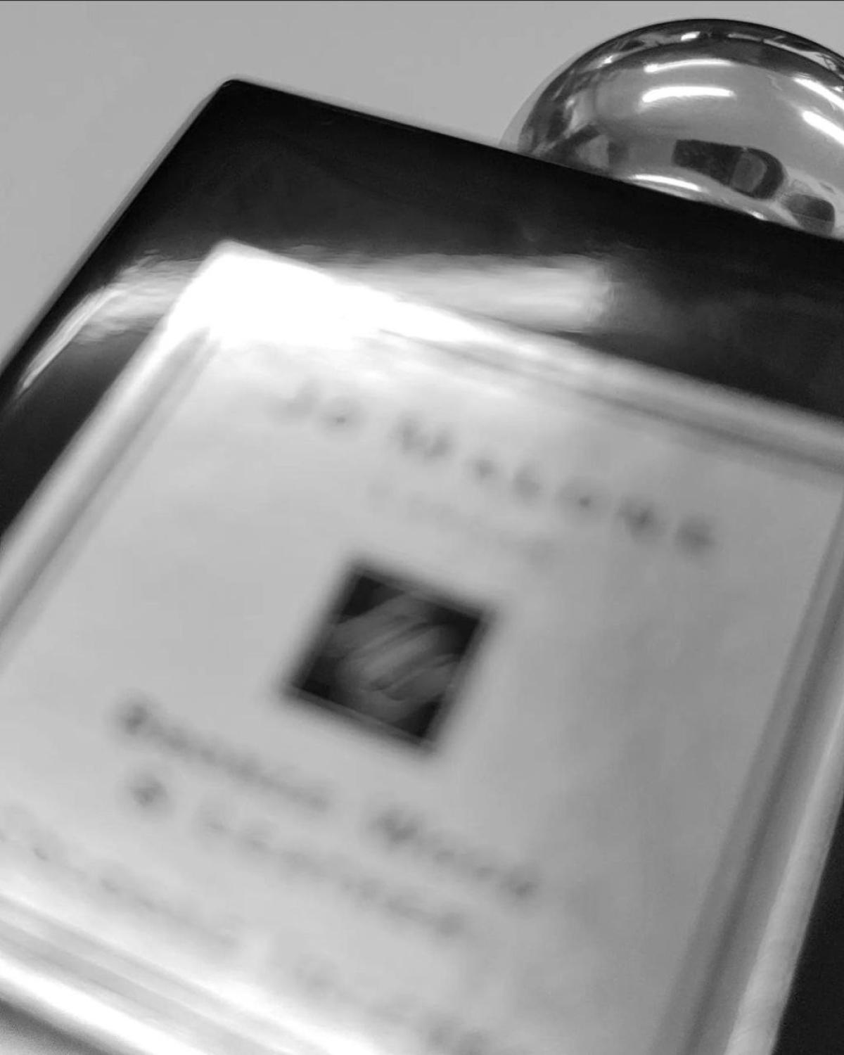 Bronze Wood & Leather Jo Malone London perfume - a fragrance for women ...