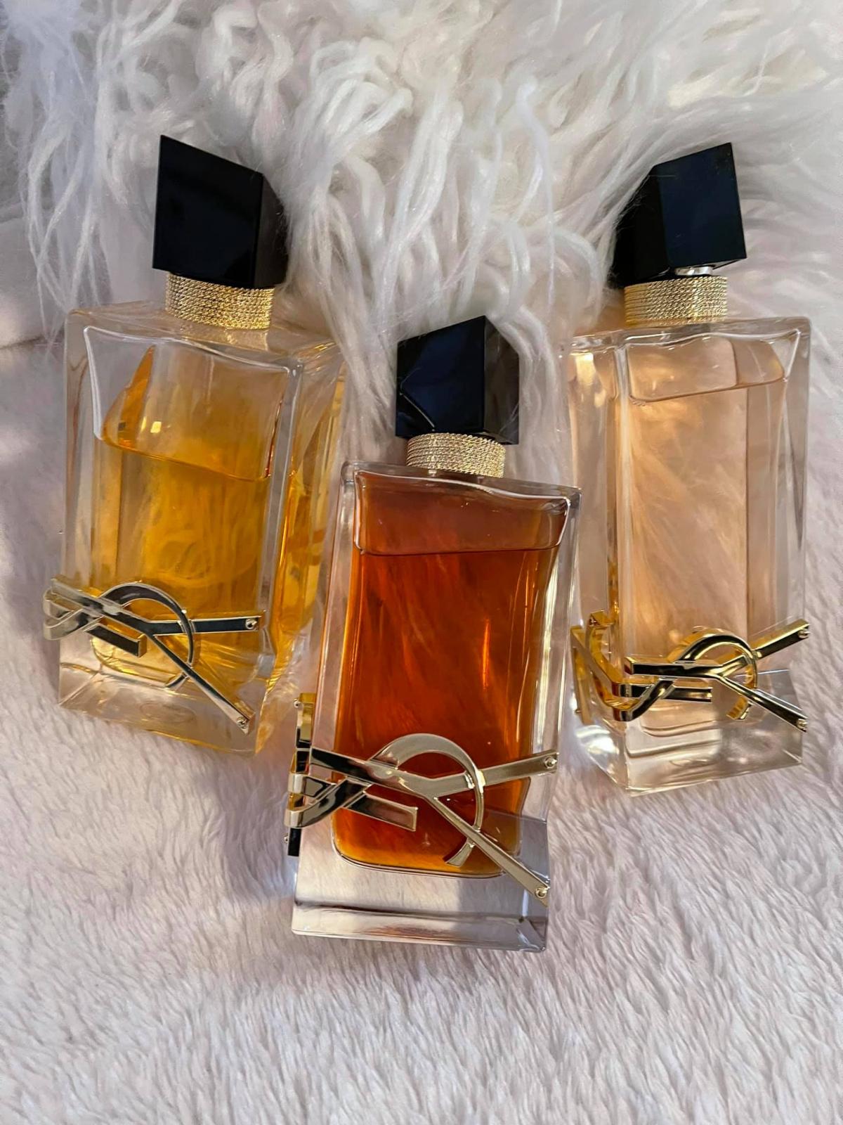 Libre Eau De Toilette Yves Saint Laurent Perfume - A Novo Fragrância ...