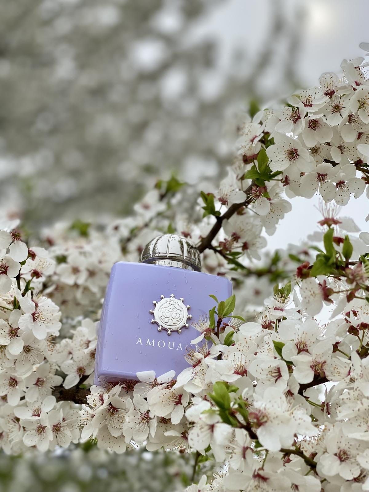 Lilac Love Amouage Perfume - A Fragrance For Women 2016