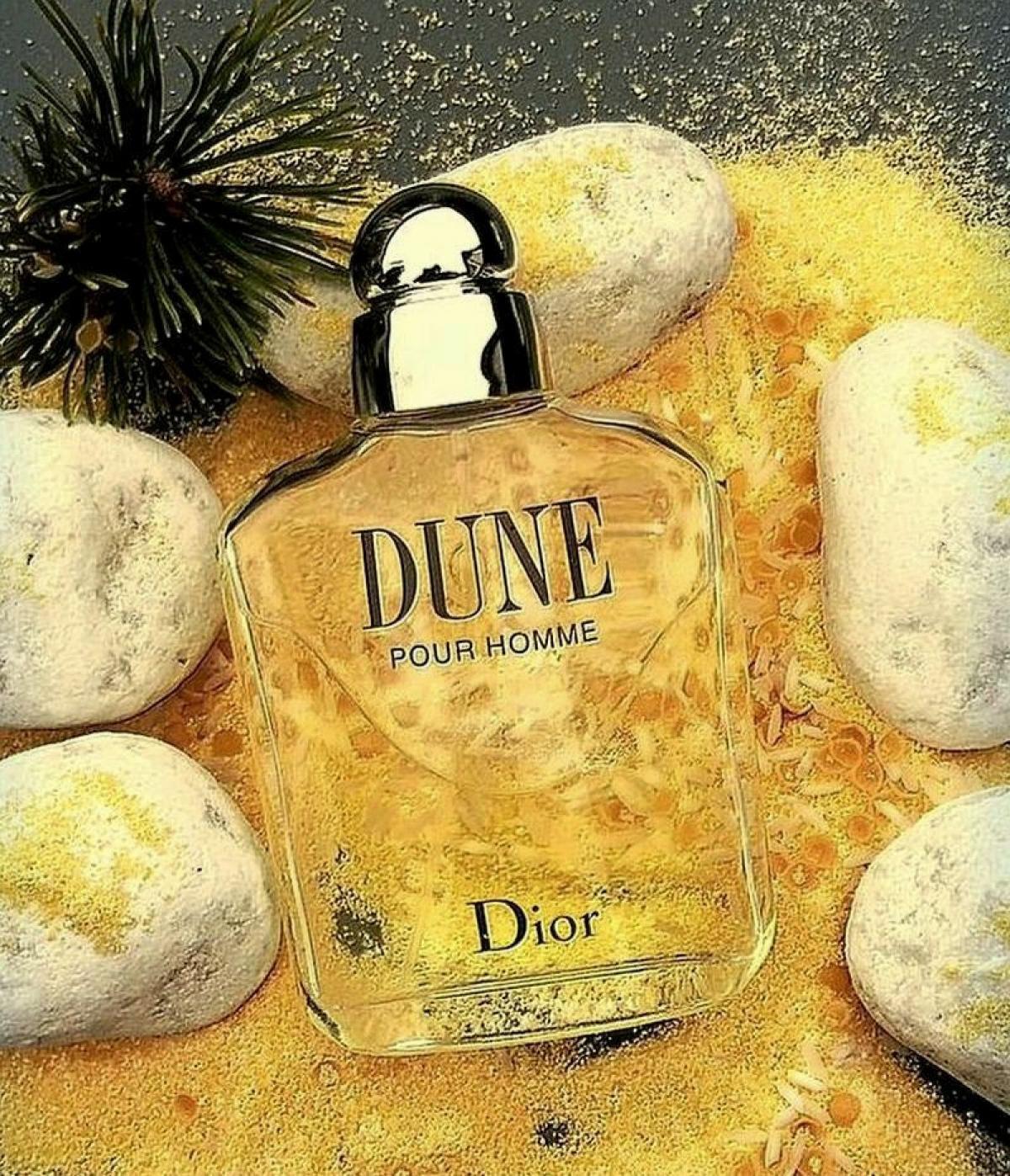 Dune Pour Homme Christian Dior colônia - a fragrância Masculino 1997