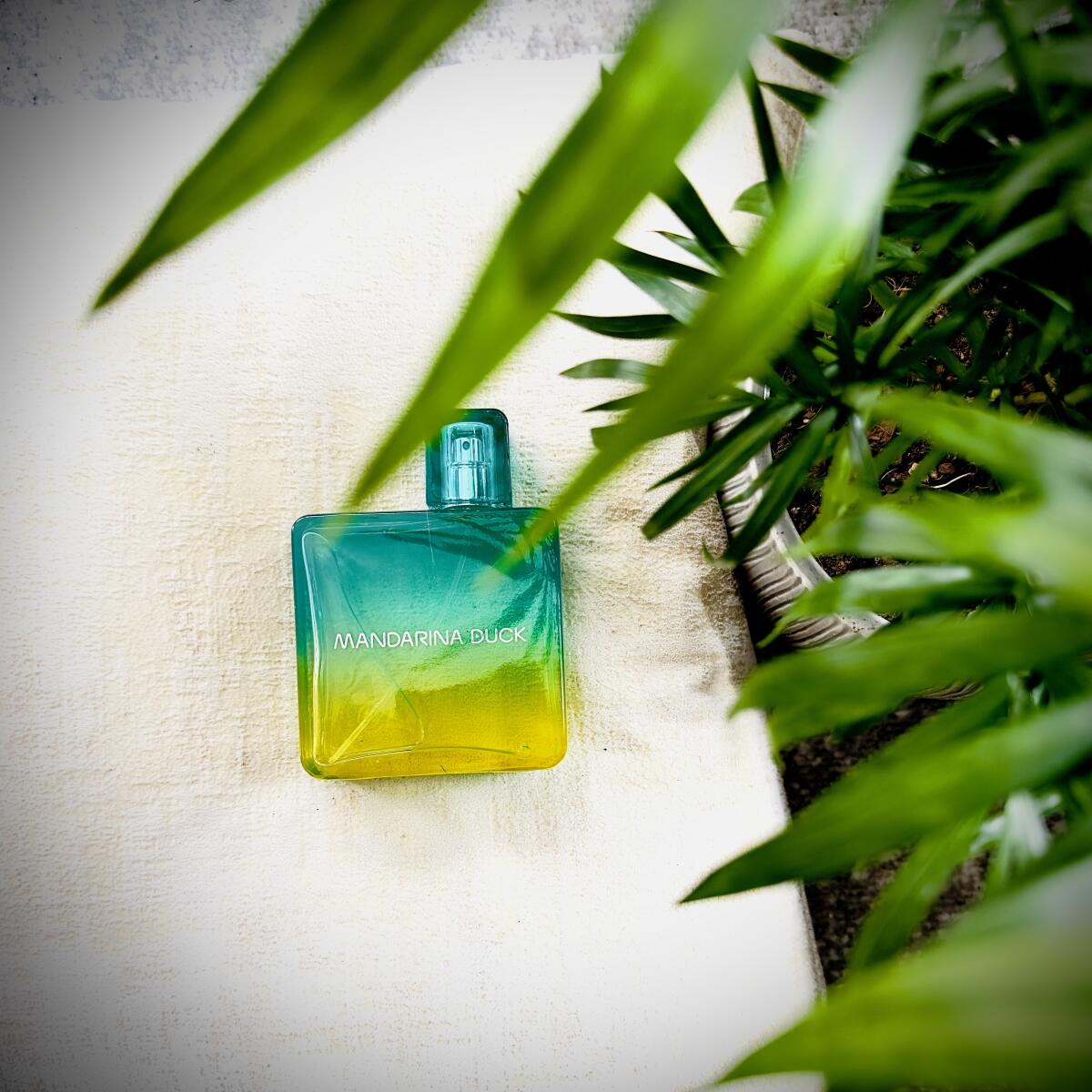 Vida Loca For Him Mandarina Duck cologne - a new fragrance for men 2023
