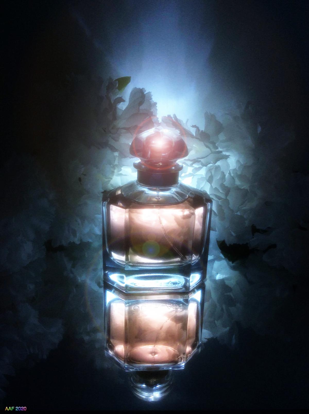 Exit The Matrix (Page 1) — General Perfume Talk — Fragrantica Club