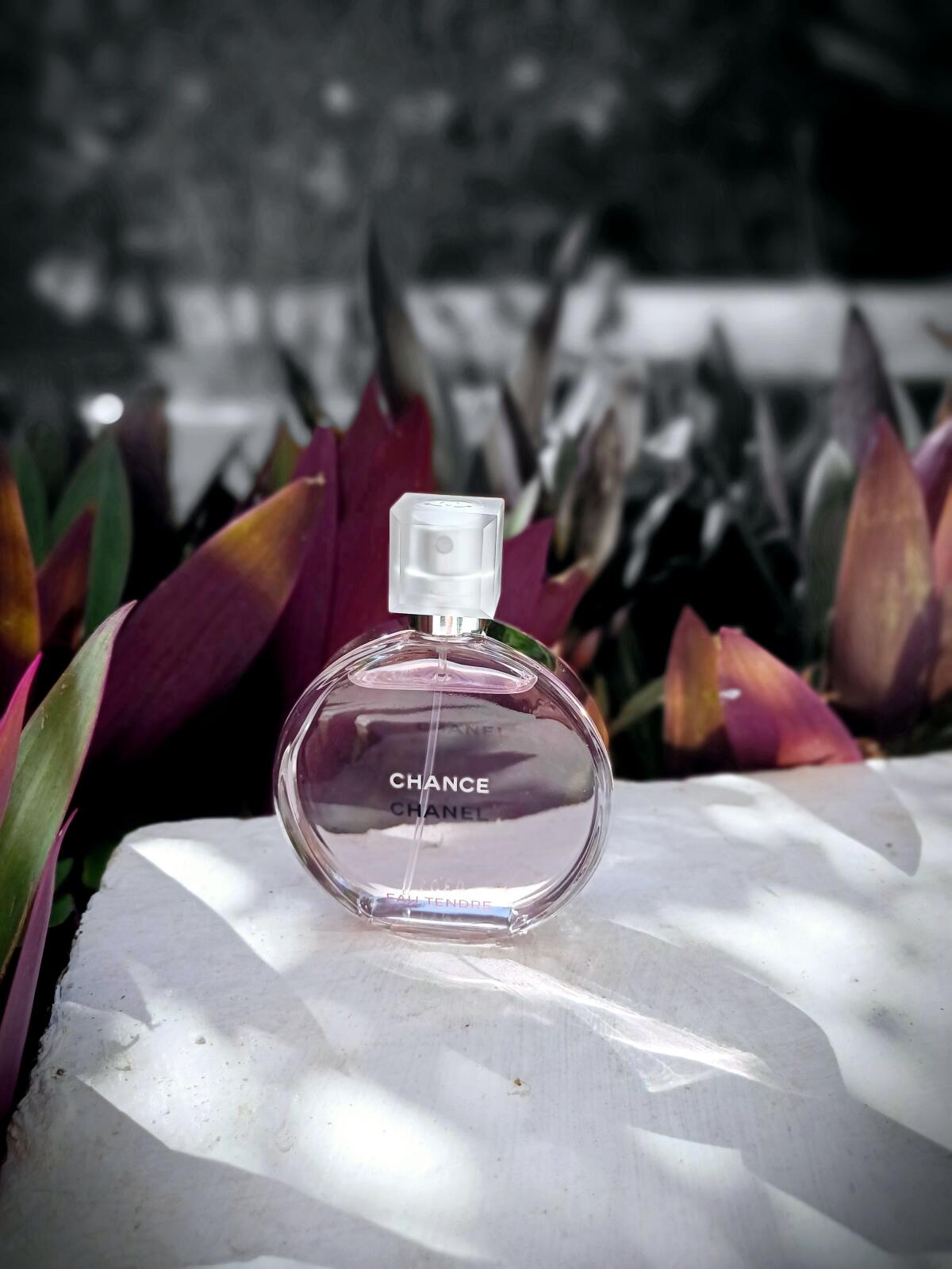 Chance Eau Tendre Chanel аромат — аромат для женщин 2010