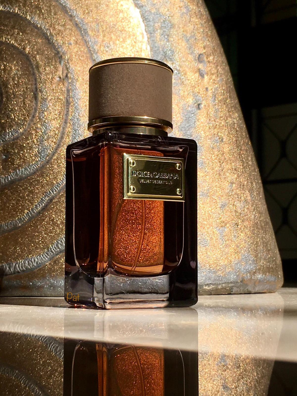 Dolce&Gabbanaベルベット デザートウード50ml 人気買付 www.m