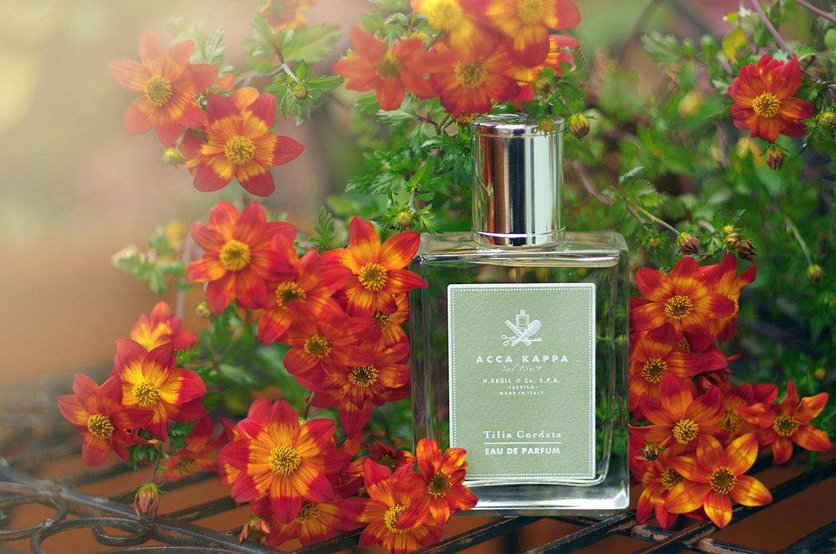 Tilia Cordata Acca Kappa perfume - a fragrance for women and men 2014