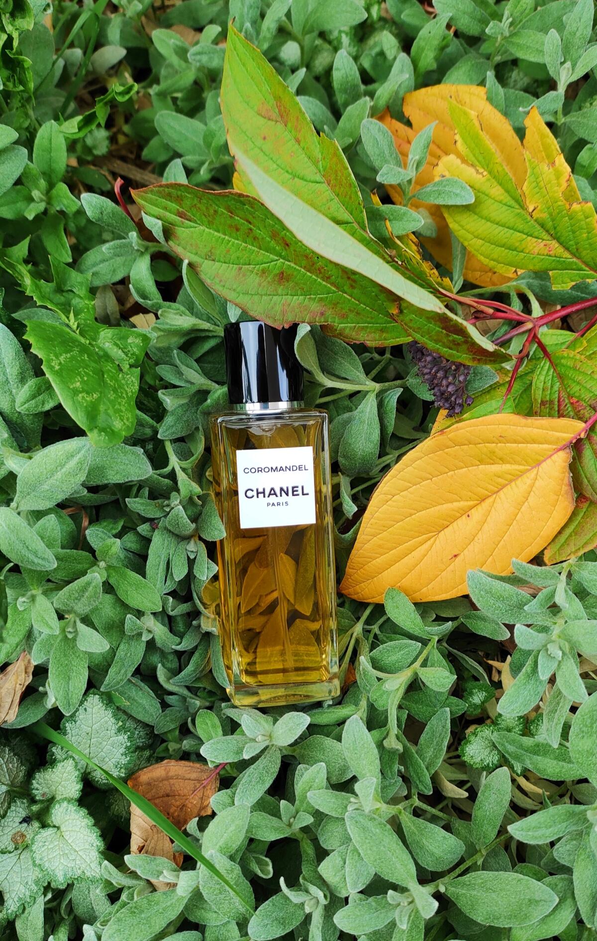 Coromandel Eau de Parfum Chanel parfem - parfem za žene i muškarce 2016