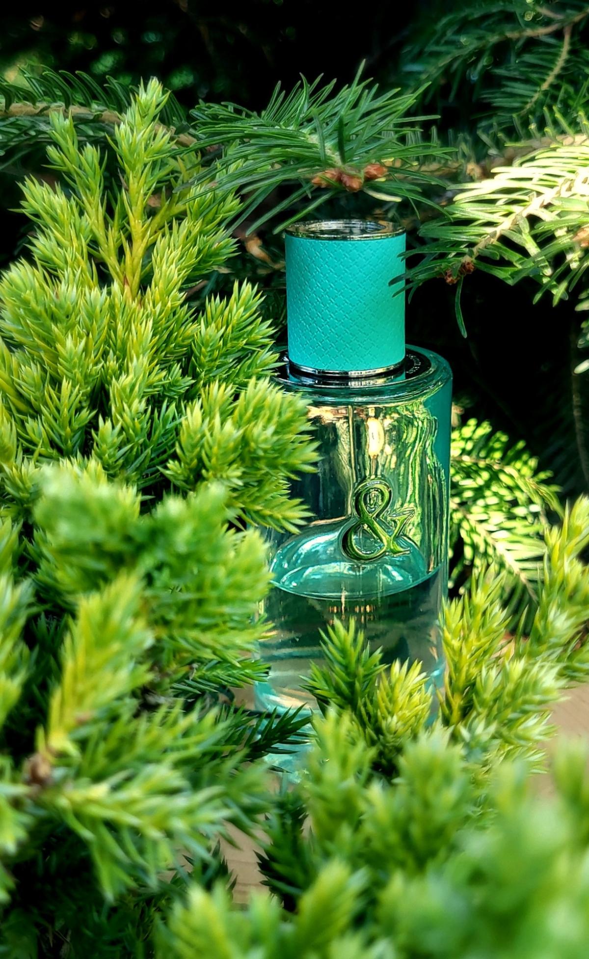 Tiffany & Love For Her Tiffany аромат — аромат для женщин 2019