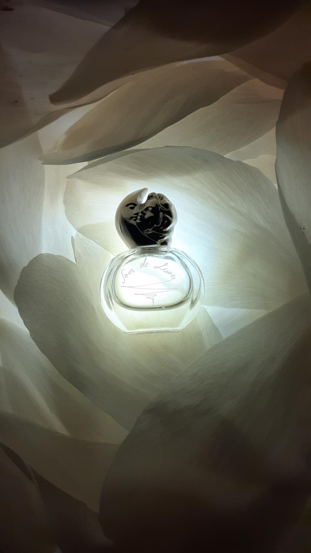 Soir de Lune Sisley perfume - a fragrance for women 2006