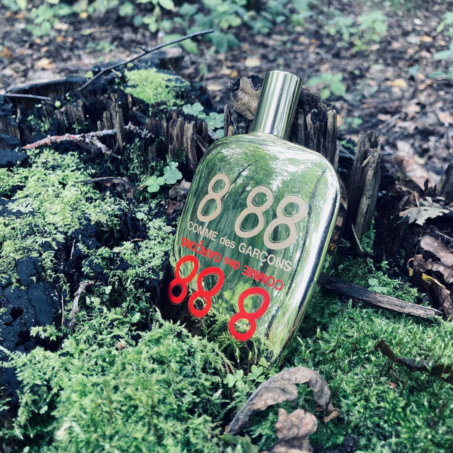 Fragrances Comme Des Garcons 888 Review 50 Okinawa Prefecture