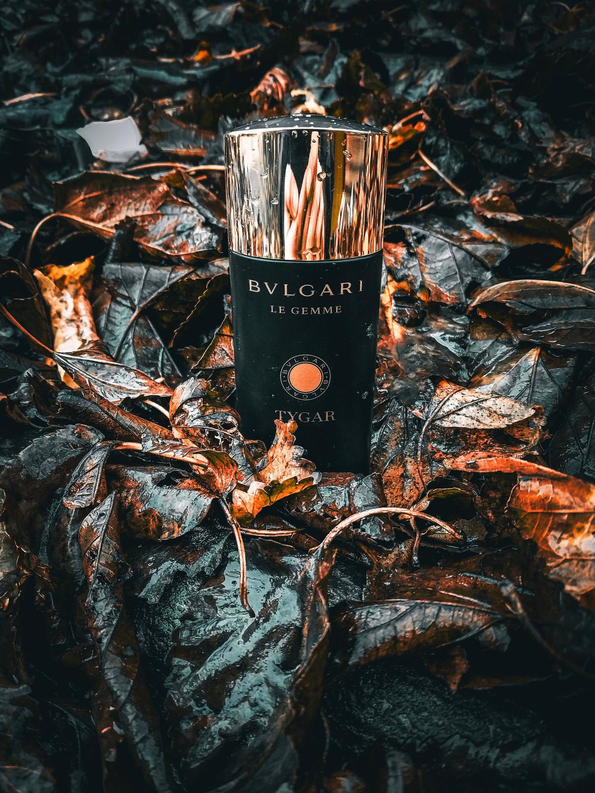 Tygar Bvlgari zapach - to perfumy dla mężczyzn 2016
