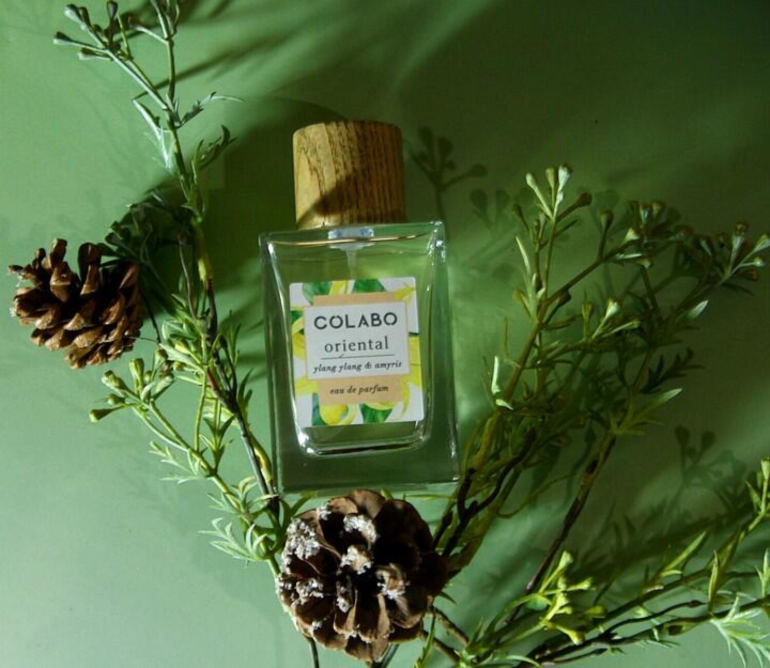 Oriental Ylang Ylang & Amyris COLABO perfume - a fragrance for women ...