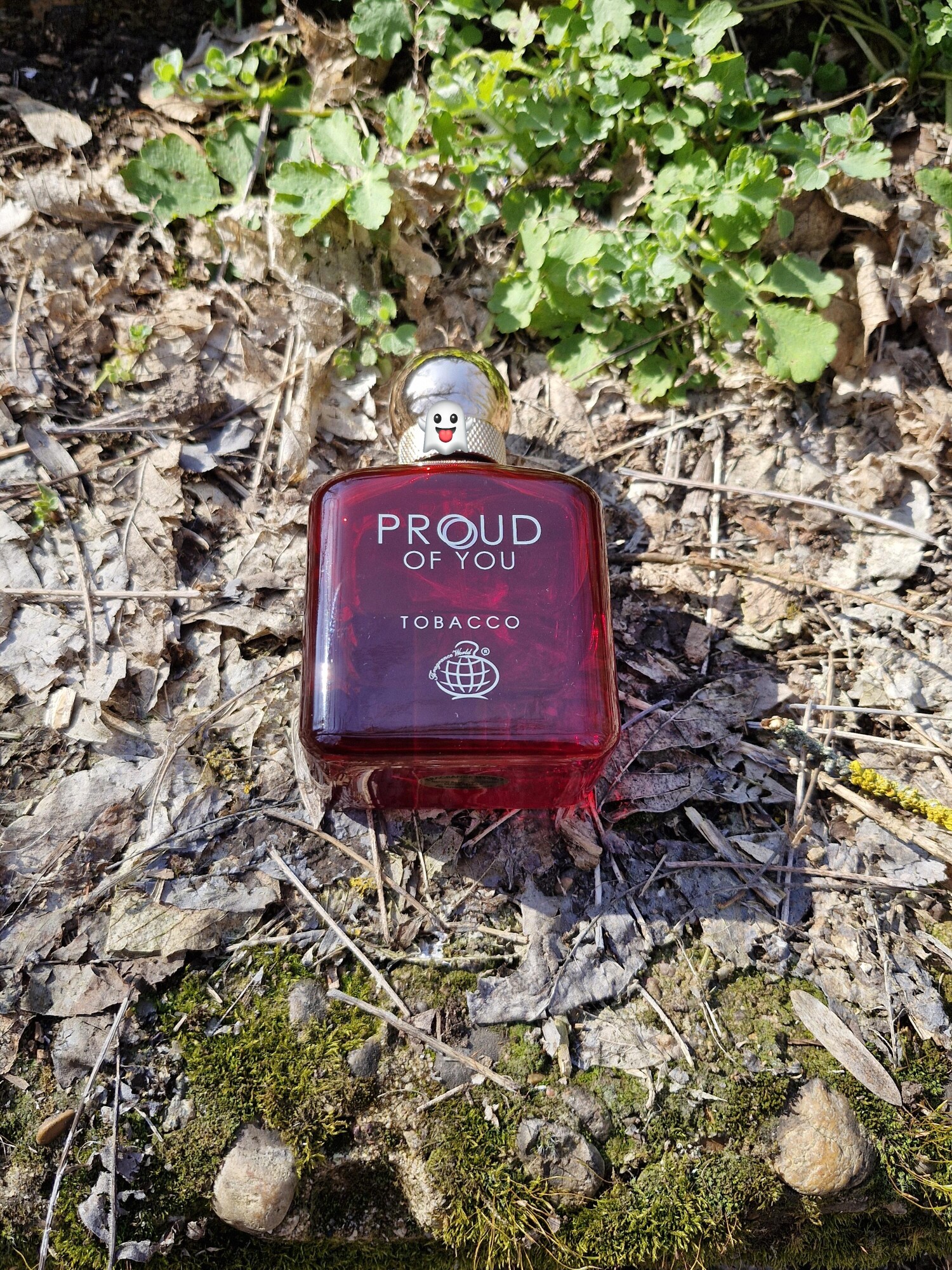 Proud of You Tobacco Fragrance World cologne - en doft för män 2024