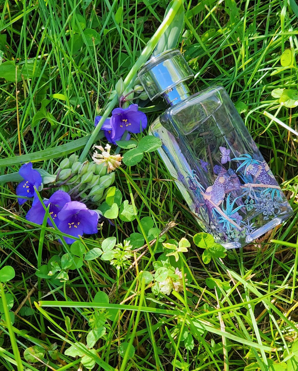 Cieli di Seta Salvatore Ferragamo perfume - a new fragrance for women ...