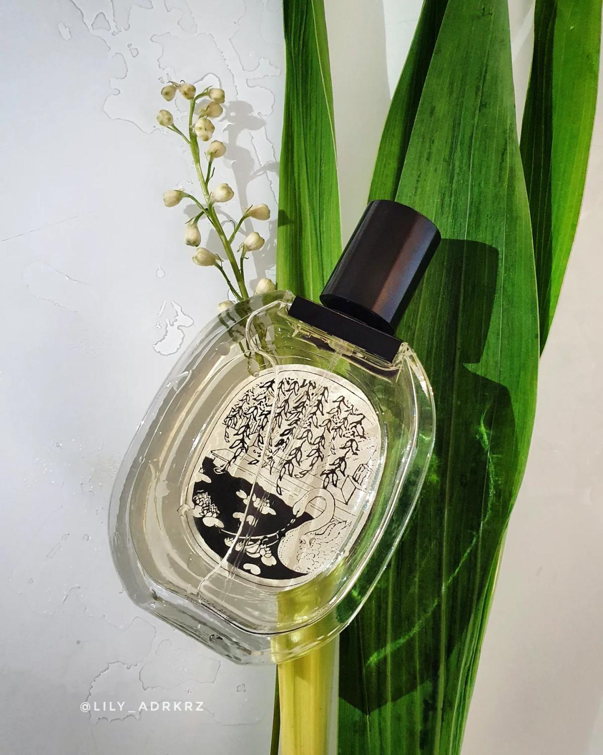 L'Ombre Dans L'Eau Eau de Toilette Diptyque perfume - a fragrance for ...
