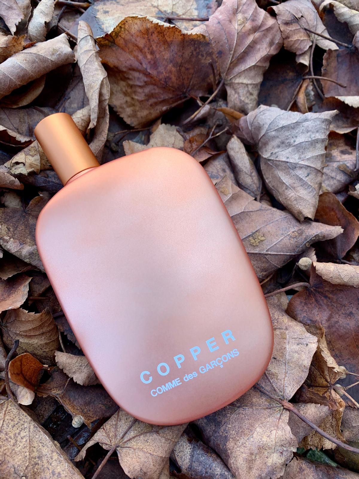 copper comme de garcons