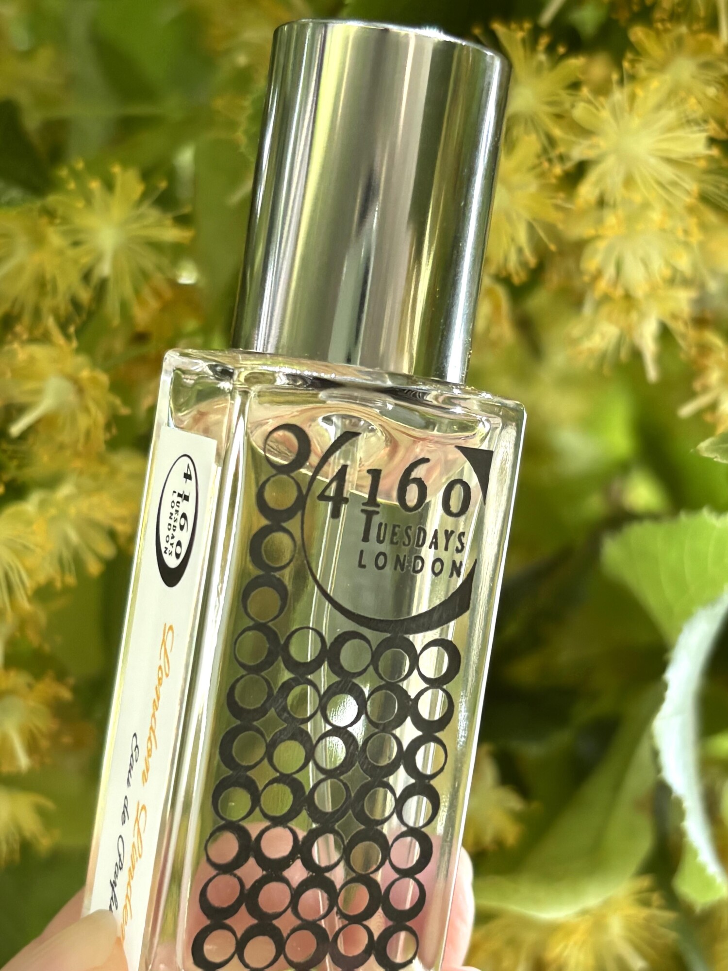 London Linden 4160 Tuesdays عطر - a جديد fragrance للجنسين 2025