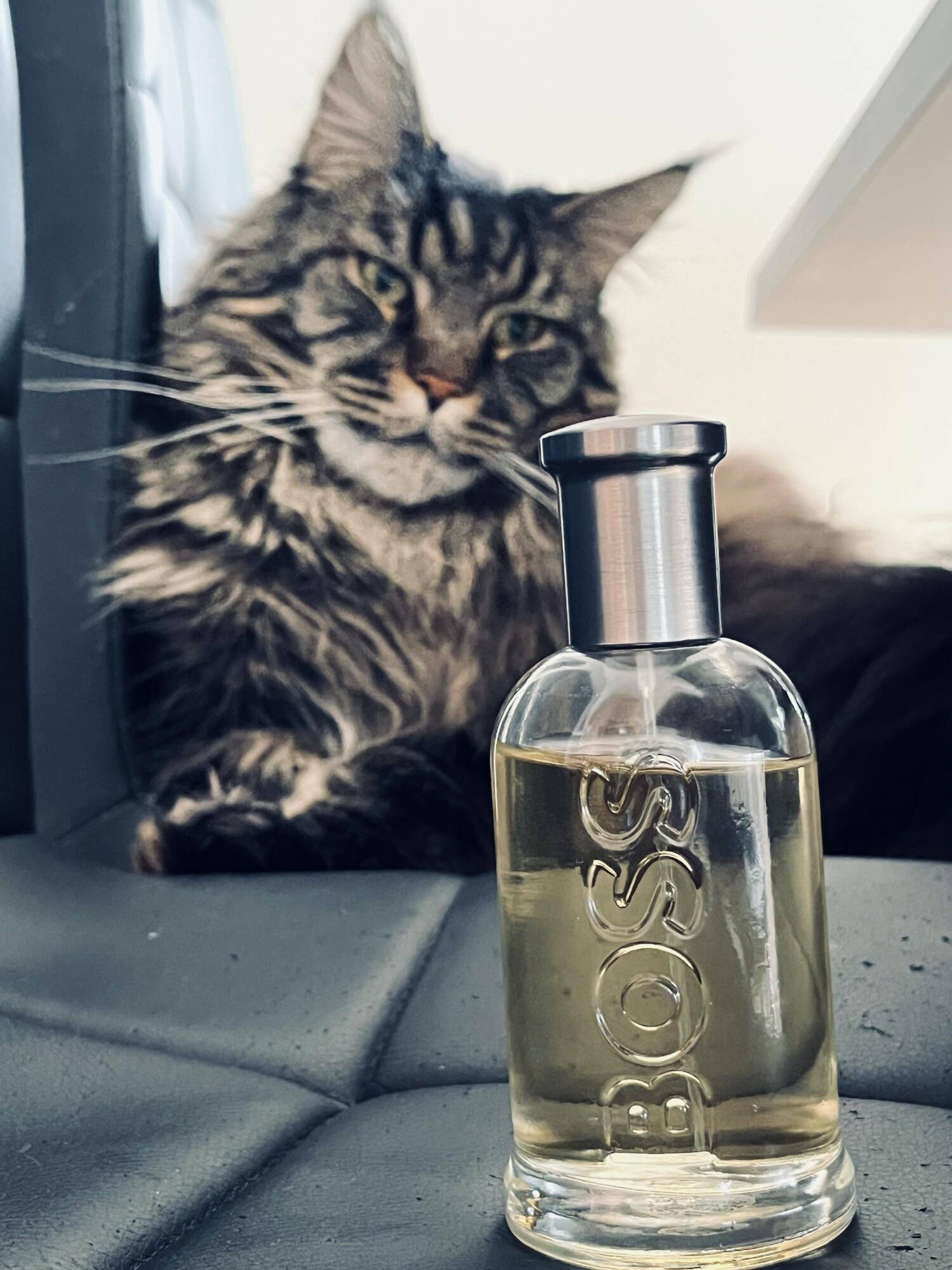 Boss Bottled Hugo Boss cologne - a fragrance for men 1998