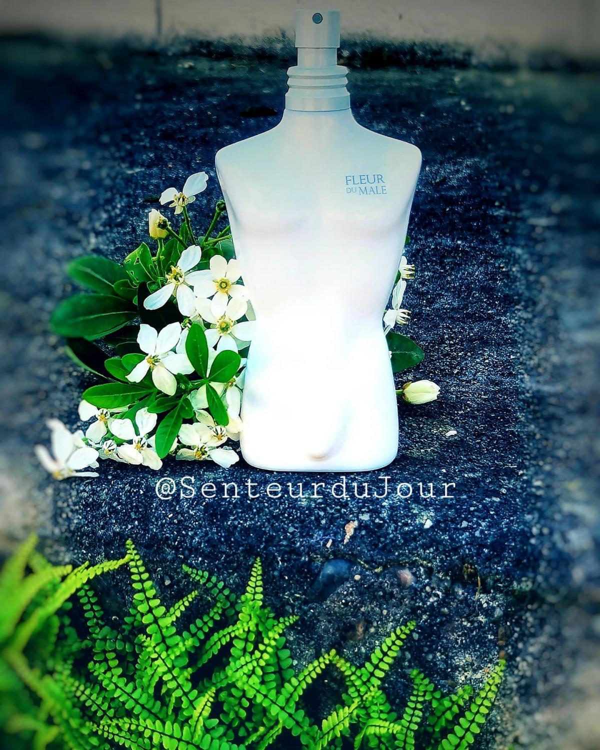 Fleur du Mâle Jean Paul Gaultier Colonia una fragancia para Hombres 2007