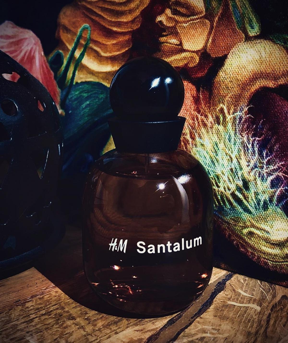 H&M Santalum H&M perfume a fragrance for women and men 2018