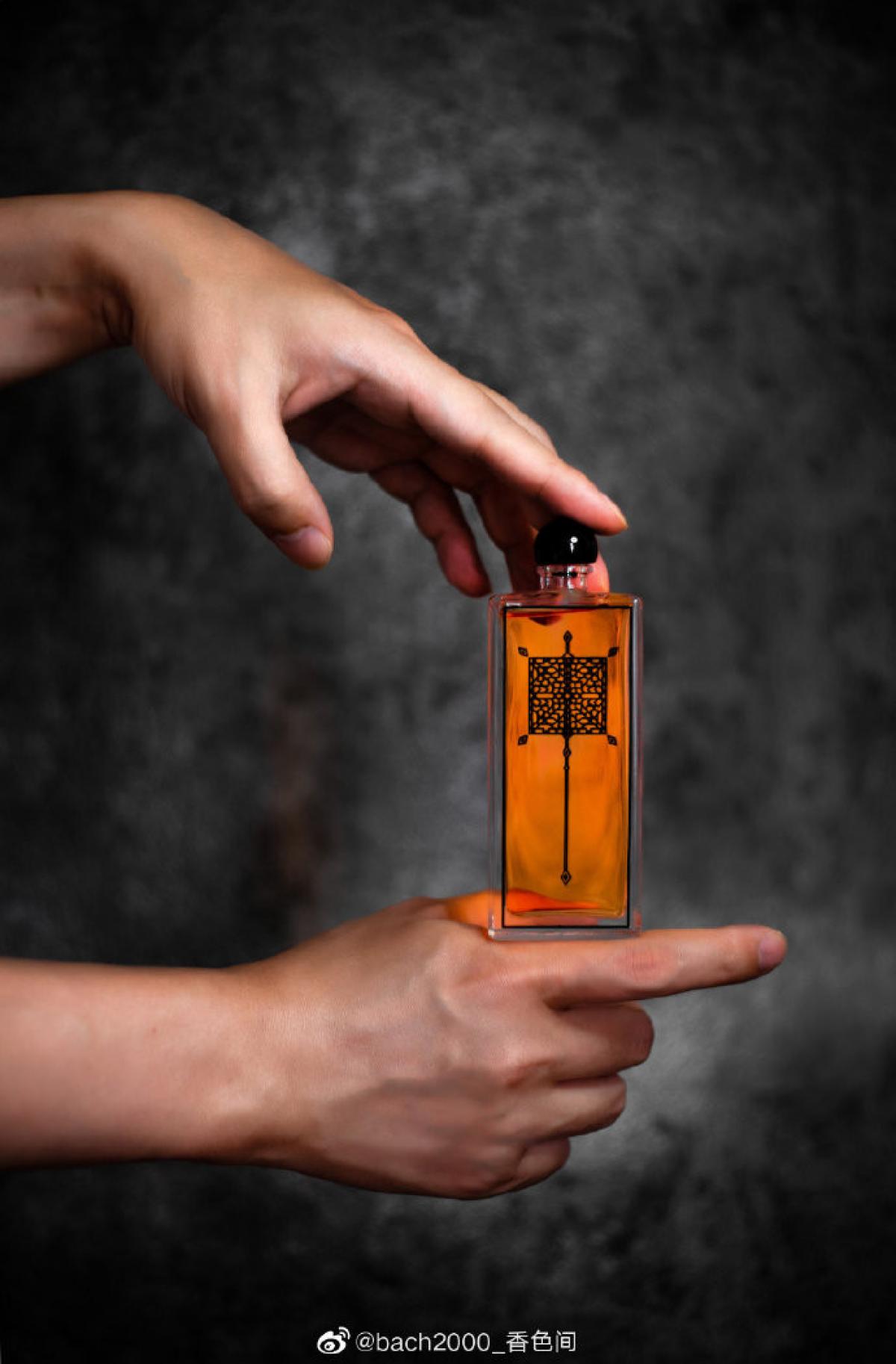 Zellige Limited Edition: Fleurs d'Oranger Serge Lutens perfume - a ...