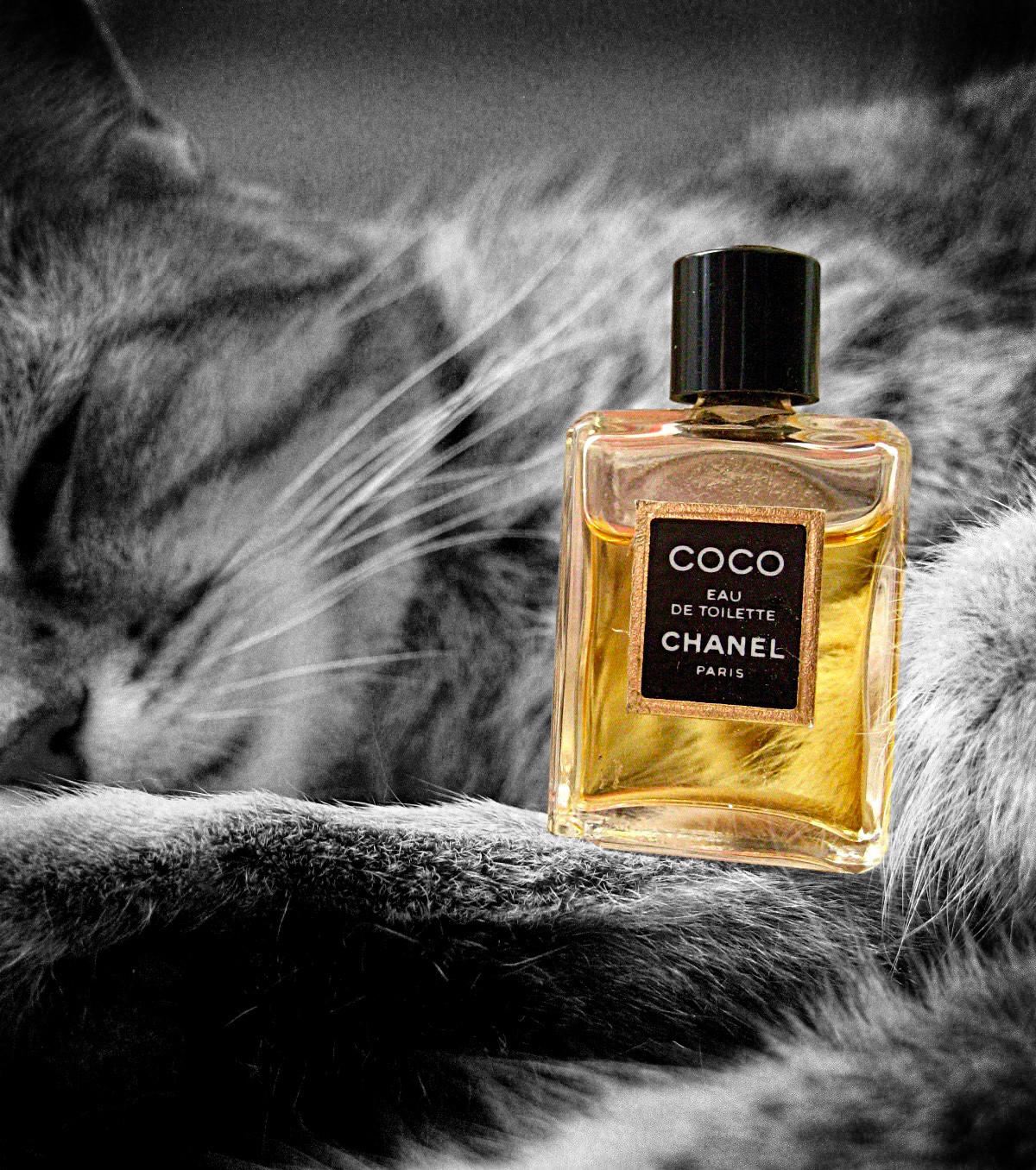 coco chanel eau de toilette