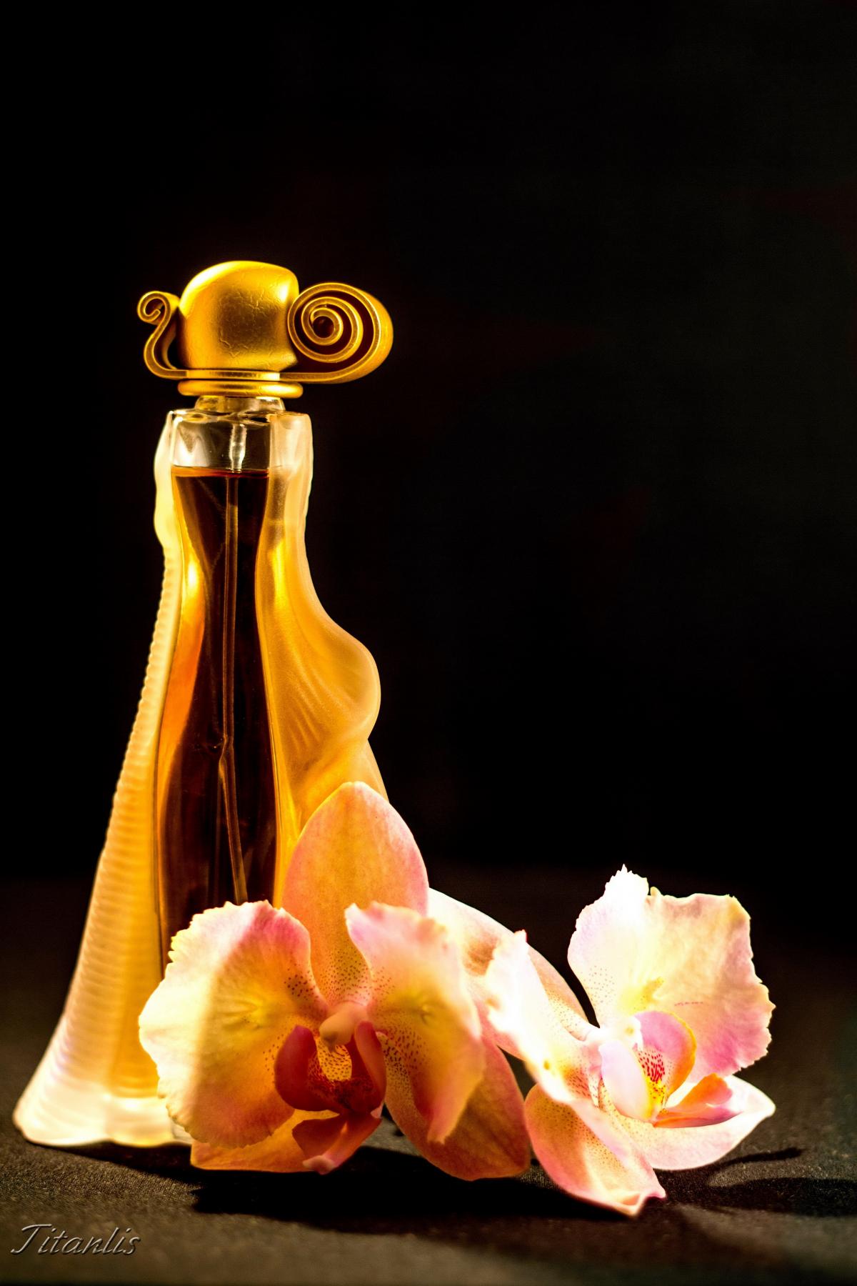 Organza Indécence Givenchy Parfum - ein es Parfum für Frauen 1999
