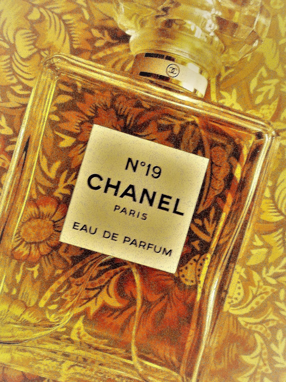 Chanel No 19 Eau de Parfum Chanel perfume a fragrance for women