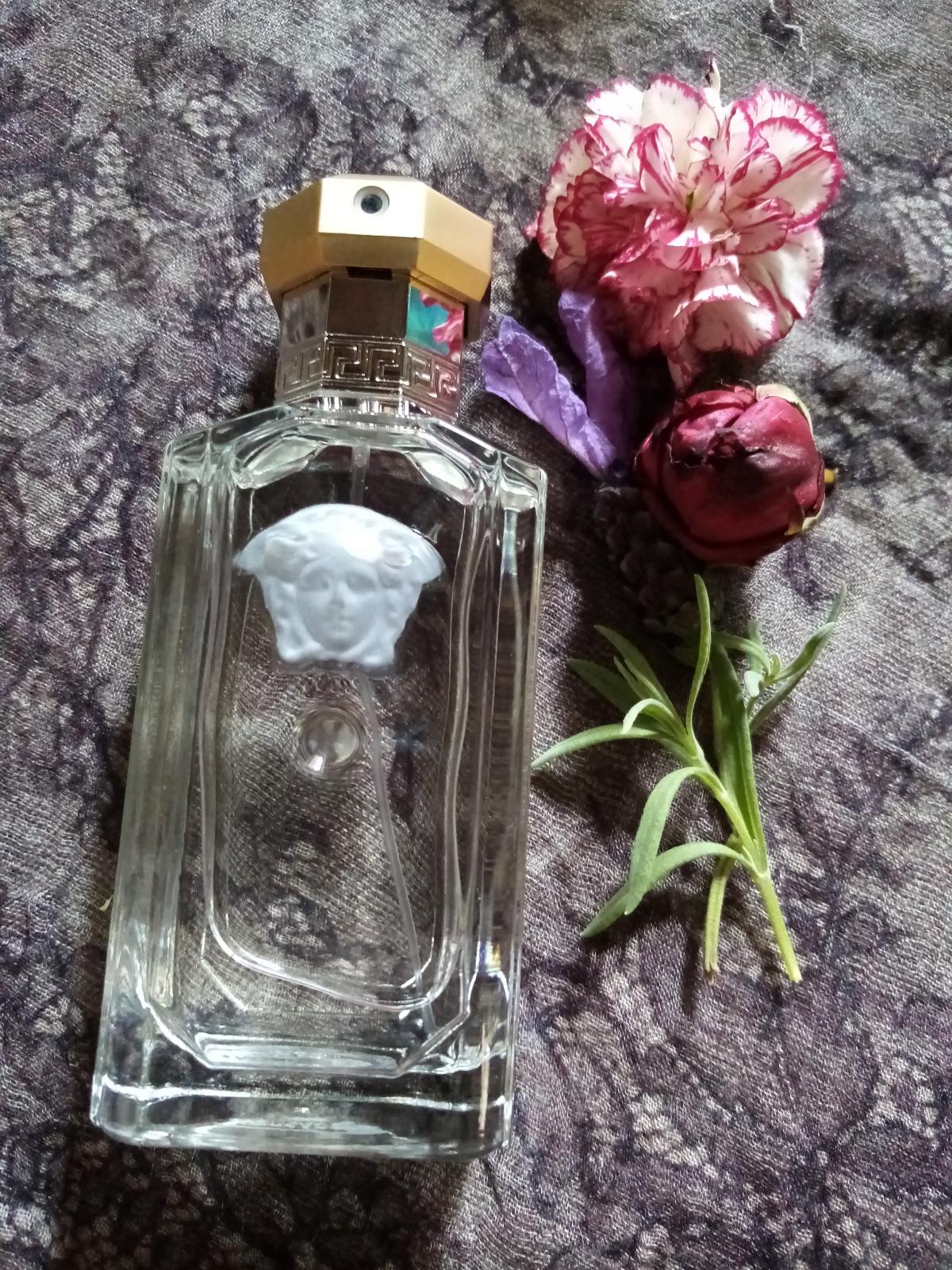 The Dreamer Versace cologne a fragrance for men