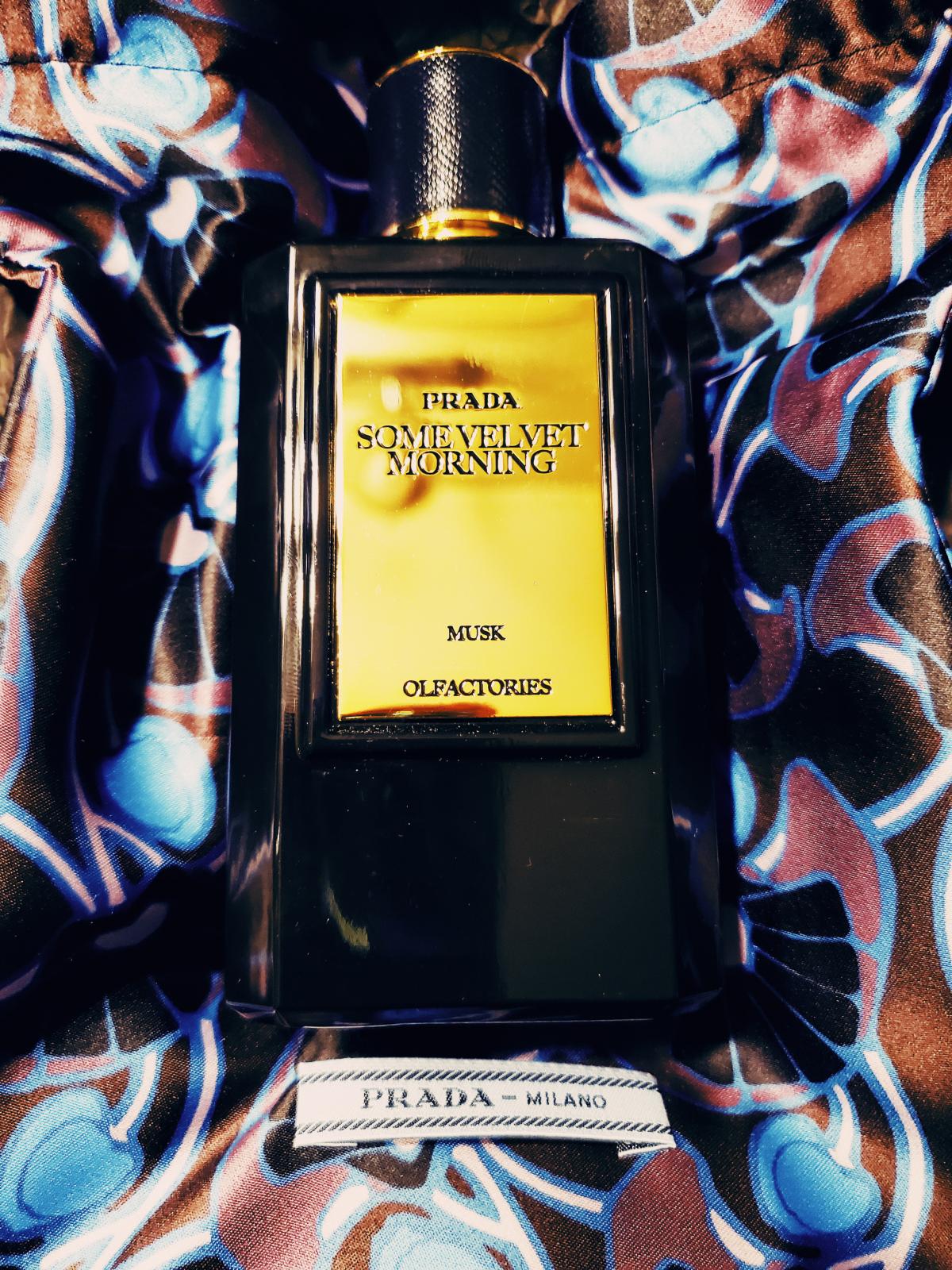 Mirages Some Velvet Morning Prada perfume - a fragrance for women and ...
