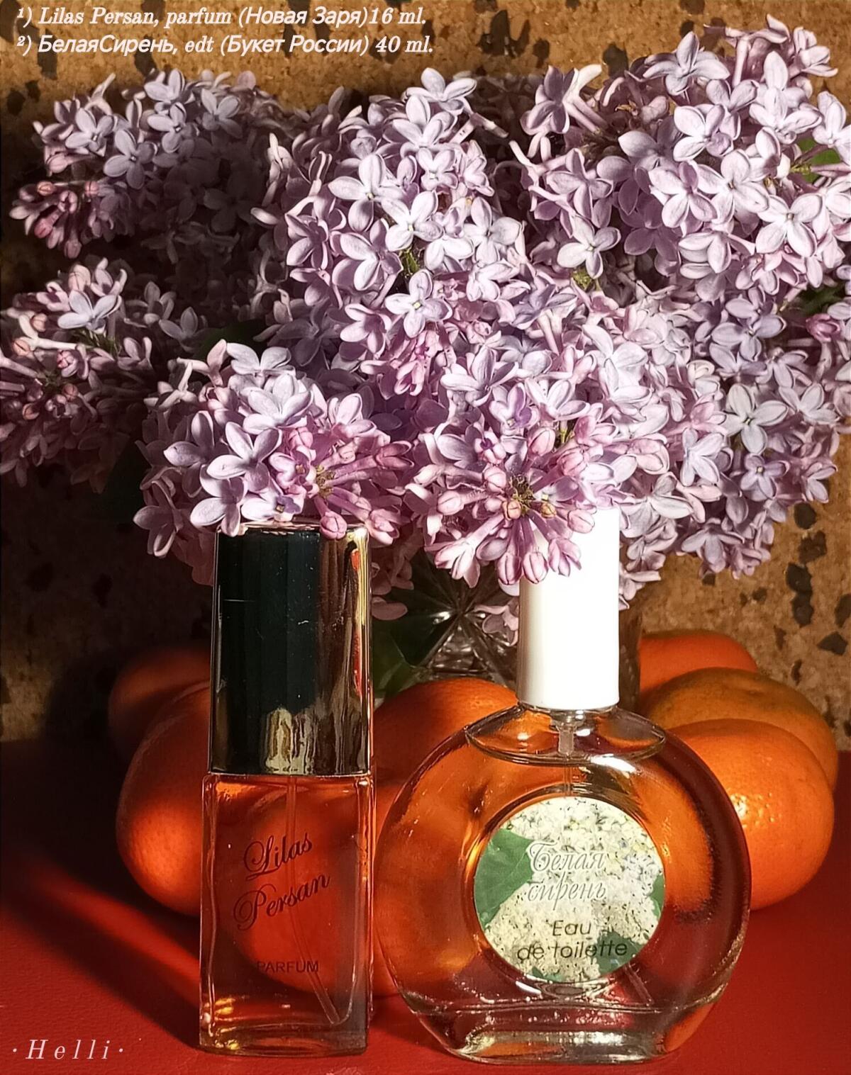 Lilas Persan Новая Заря (The New Dawn) perfume - a fragrance for women