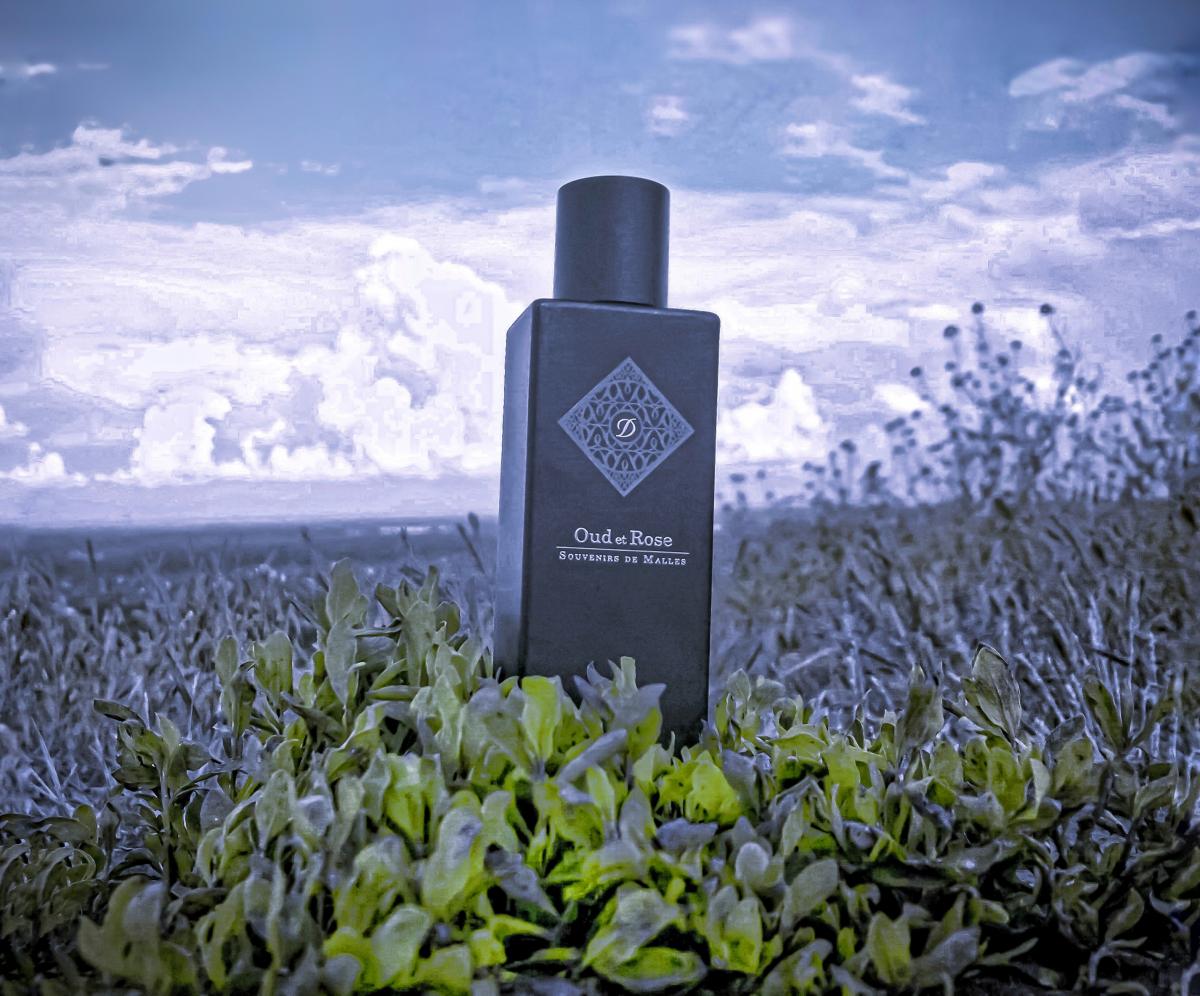 Dupont Oud et Rose S.T. Dupont perfume a fragrance for women and men 2012
