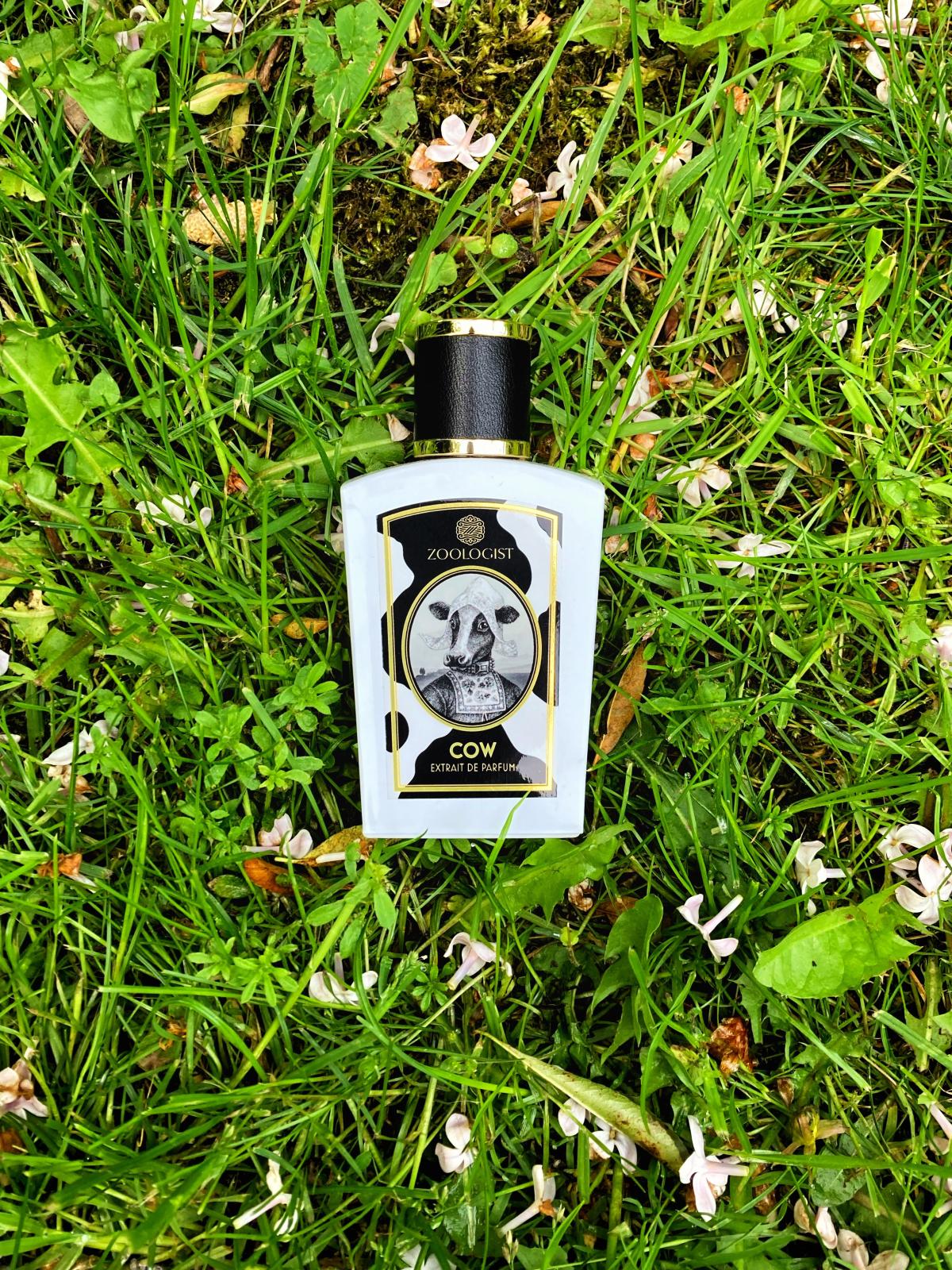 Cow Zoologist Perfumes perfume a new fragrance for women and men 2022