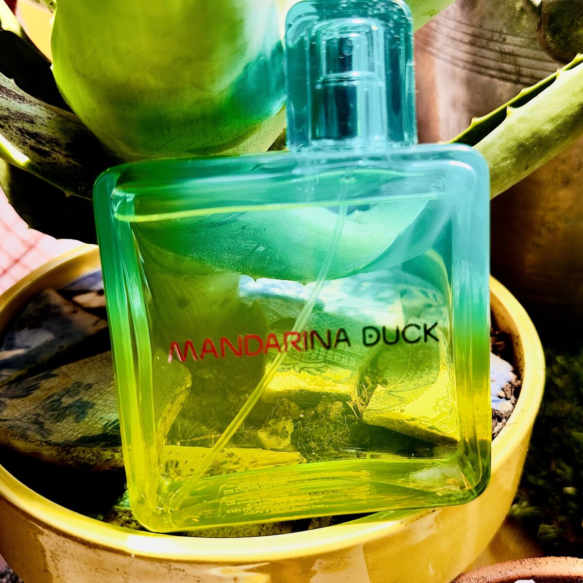 Vida Loca For Him Mandarina Duck zapach - to nowe perfumy dla mężczyzn 2023