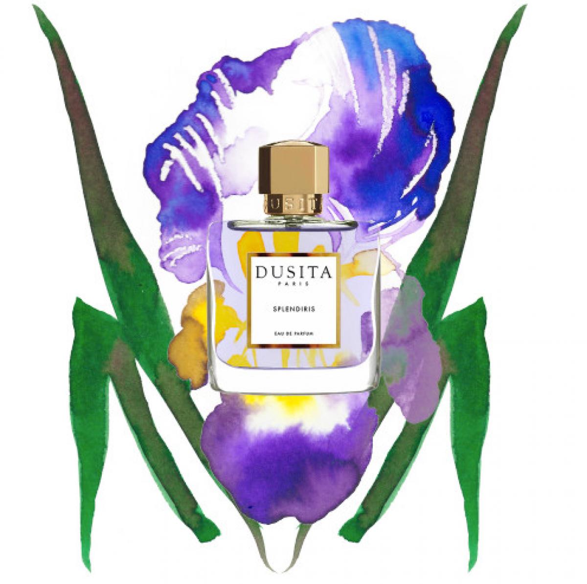 Splendiris Parfums Dusita perfume - a fragrance for women and men 2019