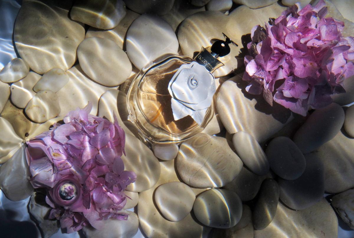 Valentina Acqua Floreale Valentino perfume - a fragrance for women 2013