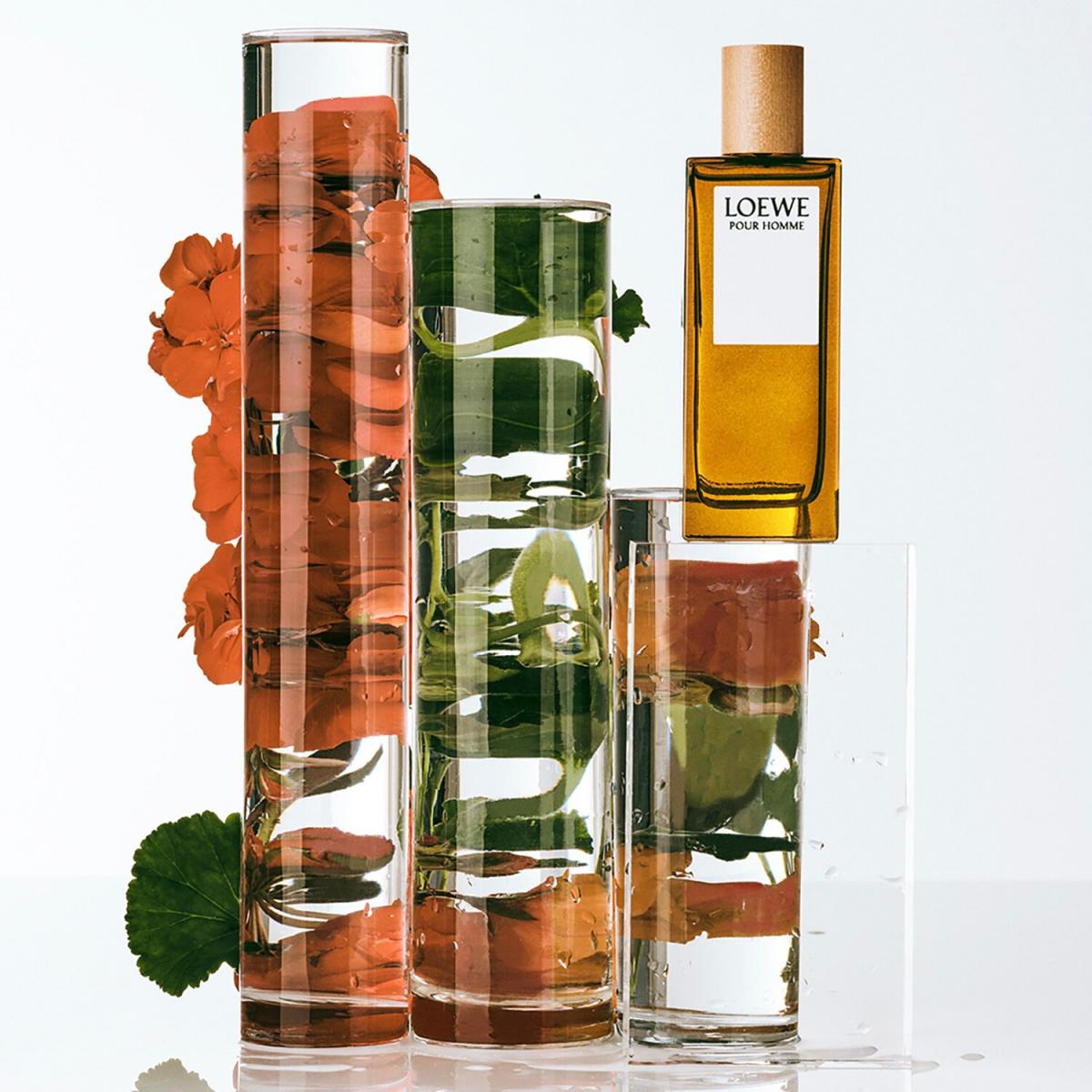 Loewe Pour Homme Loewe cologne - a fragrance for men 1974