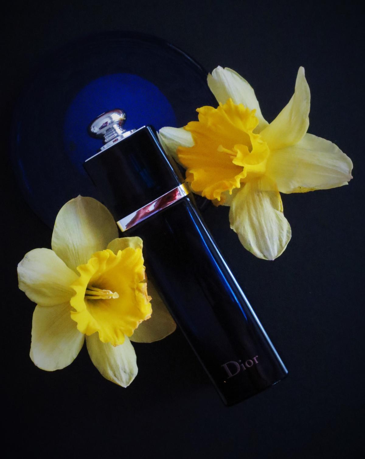 Dior Addict Eau de Parfum (2014) Dior 香水 - 一款 2014年 女用 香水