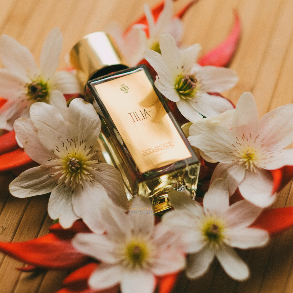 Tilia Marc-Antoine Barrois perfume - a new fragrance for women and men 2024