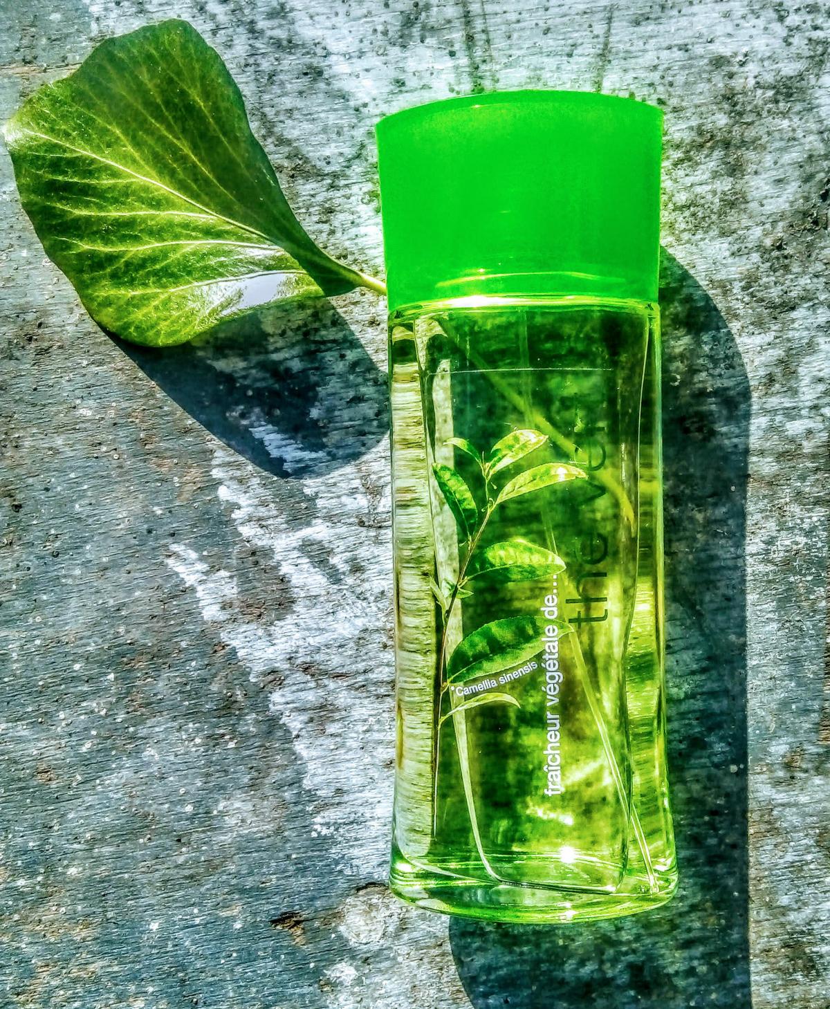 the vert perfume yves rocher