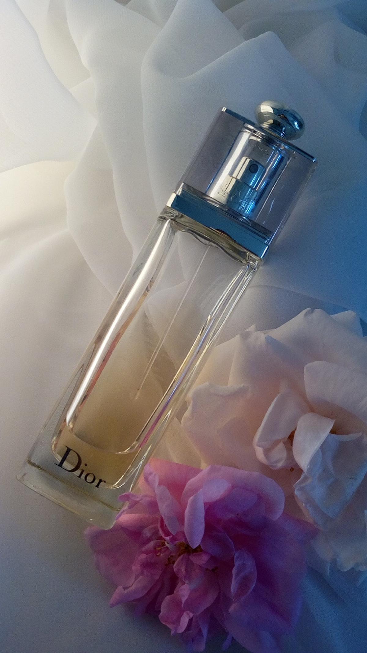 Dior Addict Eau de Toilette Dior Parfum - ein es Parfum für Frauen 2014